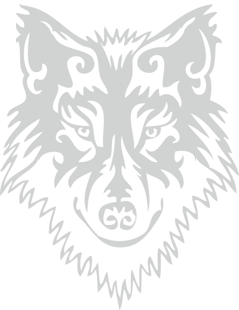 Business Software Solutions CCI Wolf